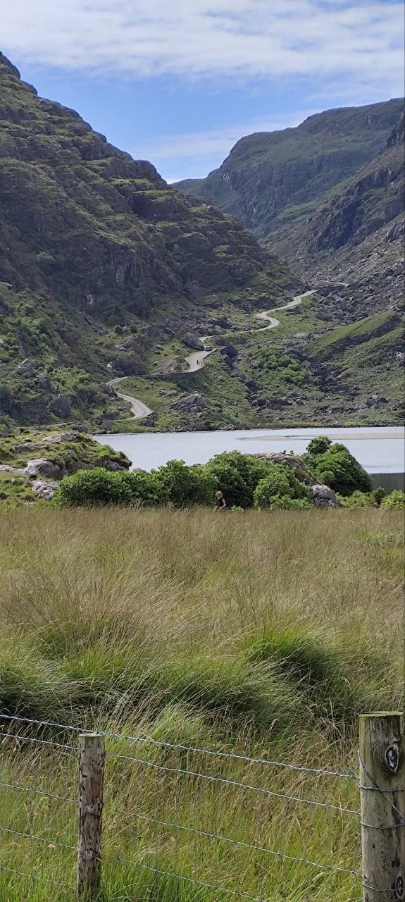 Vista general del Gap of Dunloe: colinas verdes y rocosas con la carretera serpenteando entre ellas y un grupo de árboles en el valle